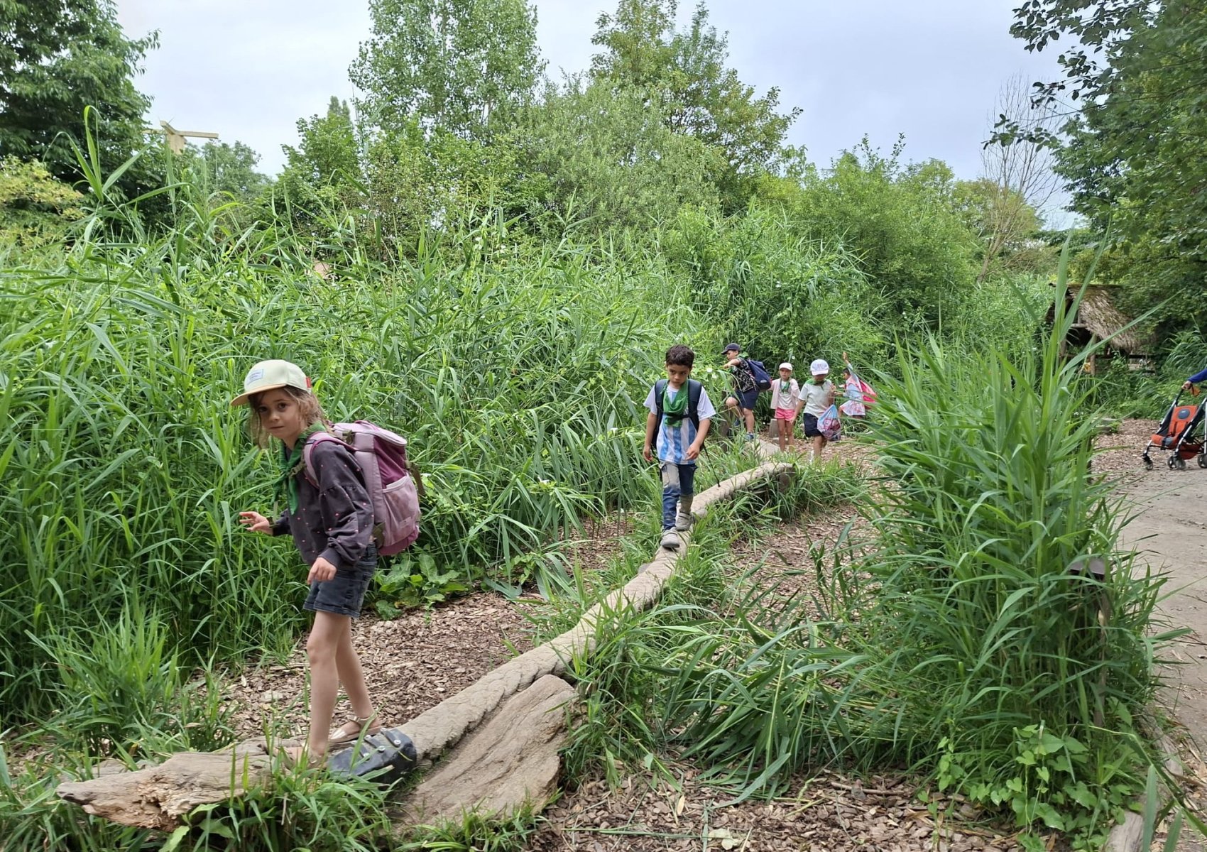 image 87